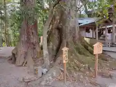 水屋神社(三重県)