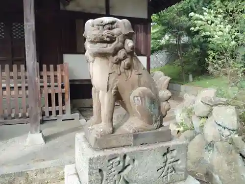 金毘羅宮の狛犬