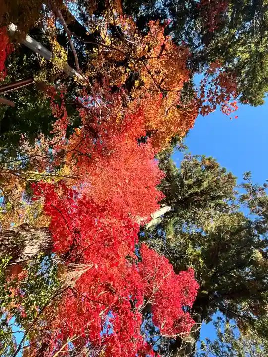 白山神社(滋賀県)