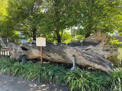 瀬戸神社(神奈川県)