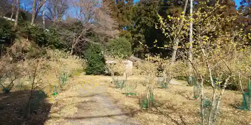 慈光寺の庭園