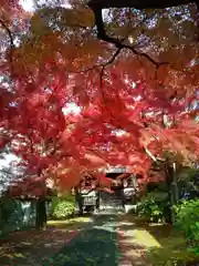 正樂寺(宮城県)