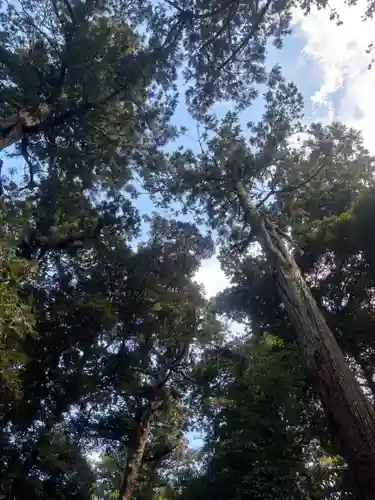 奥宮(鹿島神宮摂社)(茨城県)