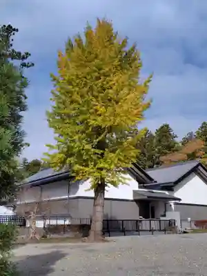 瑞巌寺(宮城県)