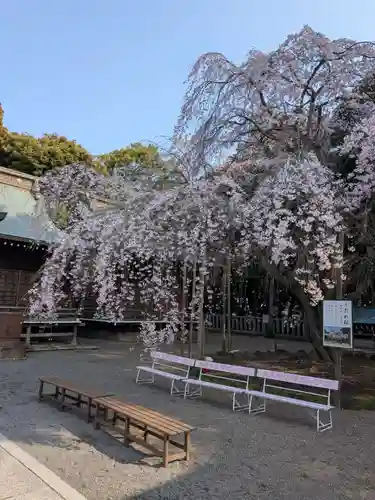 常陸第三宮　吉田神社(茨城県)