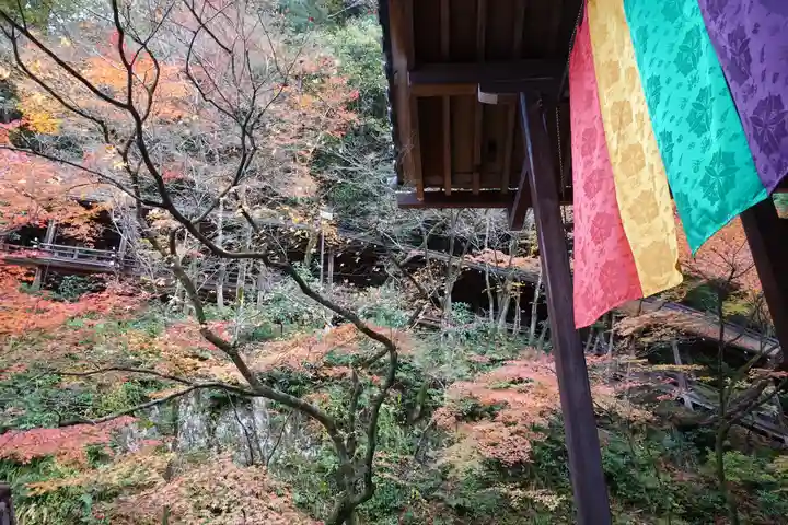 禅林寺(永観堂)(京都府)