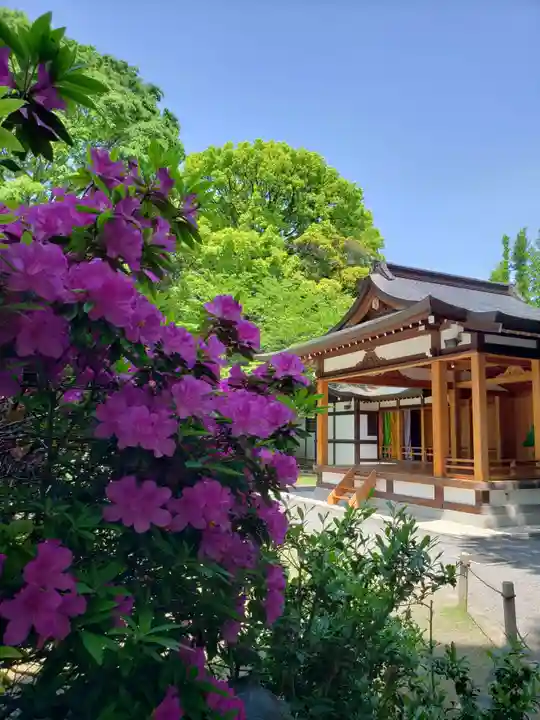 阿佐ヶ谷神明宮(東京都)