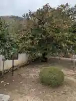 圀勝寺(岡山県)