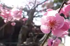 菅原天満宮（菅原神社）(奈良県)