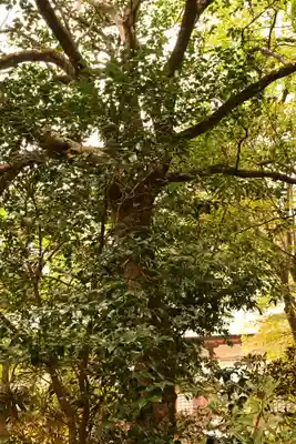 佛山寺(大分県)