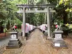 豊川閣　妙厳寺の鳥居