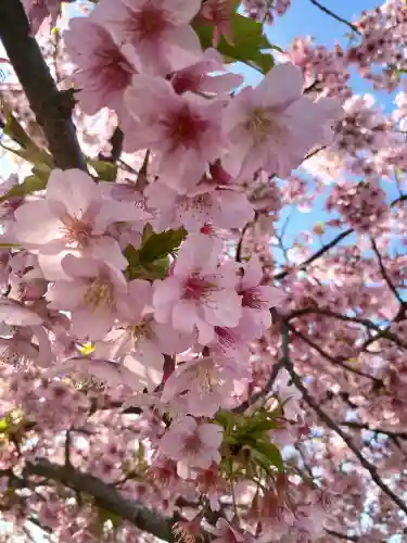 芝東照宮の{uncategorized: "未分類", other: "その他", undefined: "問題あり", building: "その他建物", grave: "お墓", sacred_gate: "鳥居", guardian: "狛犬", statue: "像", buddha: "仏像", history: "歴史", nature: "自然", garden: "庭園", animal: "動物", pagoda: "塔", temizu: "手水舎", mountain_gate: "山門・神門", sanctuary: "本殿・本堂", subordinate: "末社・摂社", art: "芸術", scenery: "景色", jizo: "地蔵", ema: "絵馬", goshuin: "御朱印", omikuji: "おみくじ", items: "授与品その他", amulet: "お守り", goshuincho: "御朱印帳", eats: "食事", festival: "お祭り", votive_dance: "神楽", shichigosan: "七五三参", wedding: "結婚式", experience: "体験その他", initially: "初詣", around: "周辺", anti_infection: "感染症対策"}