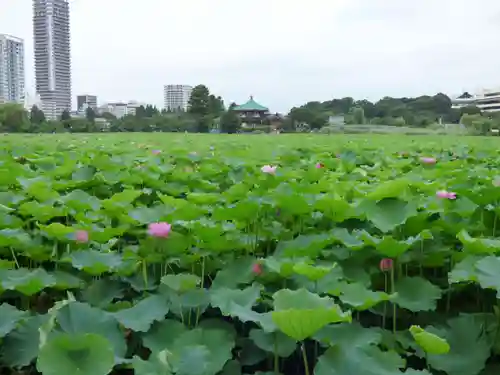 寛永寺不忍池弁天堂の本殿・本堂