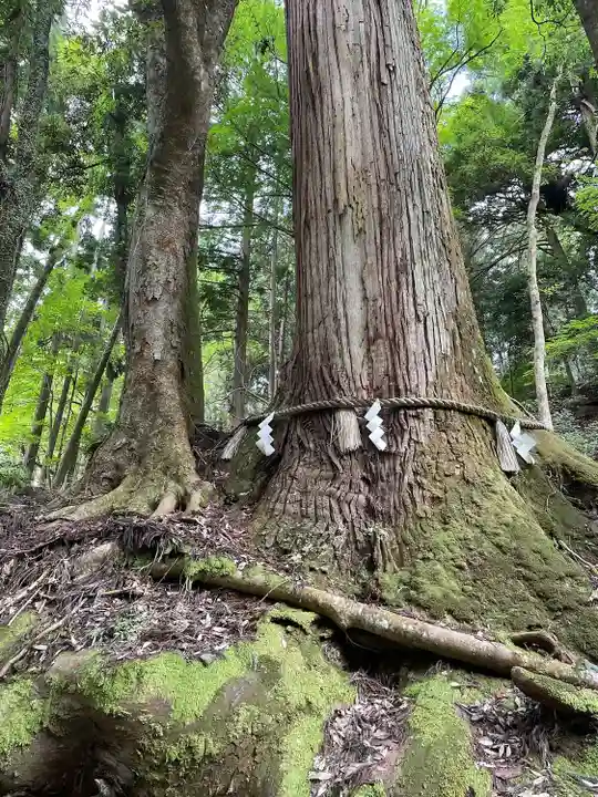 貴船神社奥宮(京都府)