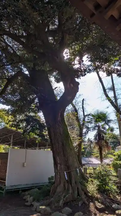 八幡社(神奈川県)