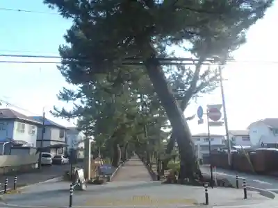 御穂神社(静岡県)