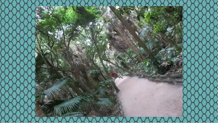 青島神社(青島神宮)(宮崎県)