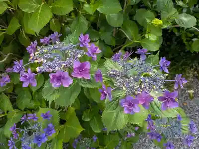 願林寺(岐阜県)