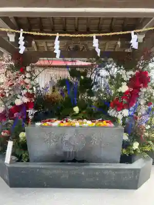 金蛇水神社の{uncategorized: "未分類", other: "その他", undefined: "問題あり", building: "その他建物", grave: "お墓", sacred_gate: "鳥居", guardian: "狛犬", statue: "像", buddha: "仏像", history: "歴史", nature: "自然", garden: "庭園", animal: "動物", pagoda: "塔", temizu: "手水舎", mountain_gate: "山門・神門", sanctuary: "本殿・本堂", subordinate: "末社・摂社", art: "芸術", scenery: "景色", jizo: "地蔵", ema: "絵馬", goshuin: "御朱印", omikuji: "おみくじ", items: "授与品その他", amulet: "お守り", goshuincho: "御朱印帳", eats: "食事", festival: "お祭り", votive_dance: "神楽", shichigosan: "七五三参", wedding: "結婚式", experience: "体験その他", initially: "初詣", around: "周辺", anti_infection: "感染症対策"}
