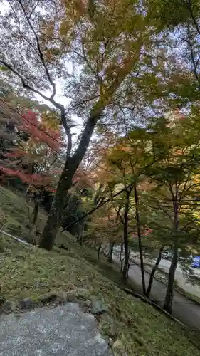 神護寺(京都府)