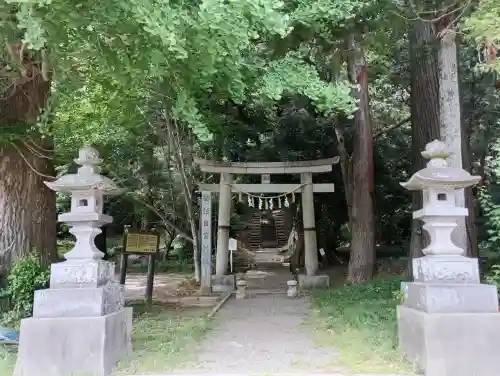 日吉神社の{uncategorized: "未分類", other: "その他", undefined: "問題あり", building: "その他建物", grave: "お墓", sacred_gate: "鳥居", guardian: "狛犬", statue: "像", buddha: "仏像", history: "歴史", nature: "自然", garden: "庭園", animal: "動物", pagoda: "塔", temizu: "手水舎", mountain_gate: "山門・神門", sanctuary: "本殿・本堂", subordinate: "末社・摂社", art: "芸術", scenery: "景色", jizo: "地蔵", ema: "絵馬", goshuin: "御朱印", omikuji: "おみくじ", items: "授与品その他", amulet: "お守り", goshuincho: "御朱印帳", eats: "食事", festival: "お祭り", votive_dance: "神楽", shichigosan: "七五三参", wedding: "結婚式", experience: "体験その他", initially: "初詣", around: "周辺", anti_infection: "感染症対策"}