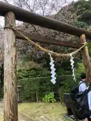 猫神社の鳥居