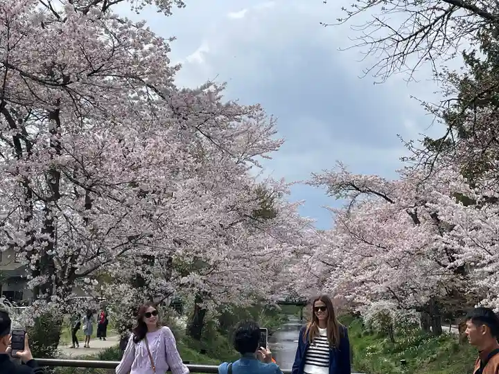 東円寺(山梨県)