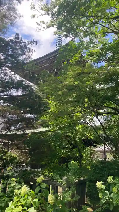 道場寺(東京都)