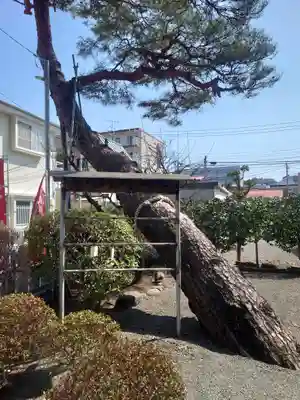 福泉寺(神奈川県)