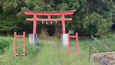 八雲神社の鳥居