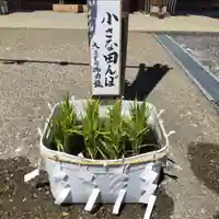 七重浜海津見神社(北海道)