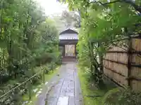 高桐院(京都府)