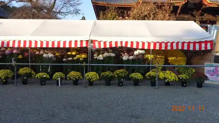 慈恩寺(埼玉県)