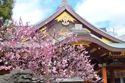 湯島天満宮(東京都)