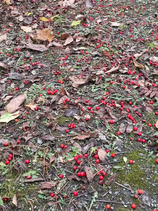 美国神社(北海道)