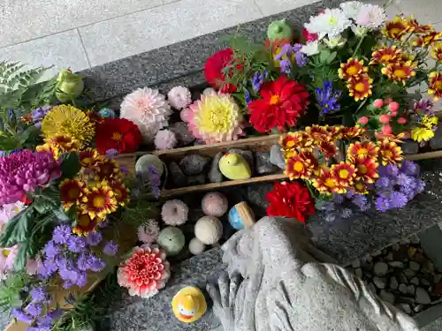 滑川神社 - 仕事と子どもの守り神の手水