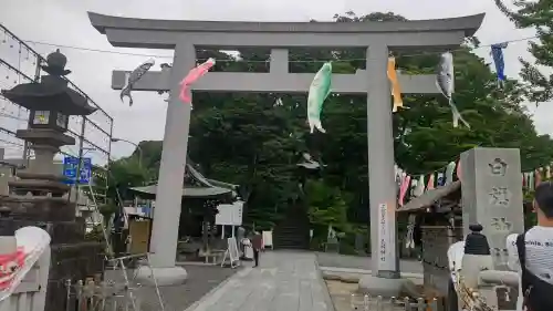 白旗神社(西御門)の{uncategorized: "未分類", other: "その他", undefined: "問題あり", building: "その他建物", grave: "お墓", sacred_gate: "鳥居", guardian: "狛犬", statue: "像", buddha: "仏像", history: "歴史", nature: "自然", garden: "庭園", animal: "動物", pagoda: "塔", temizu: "手水舎", mountain_gate: "山門・神門", sanctuary: "本殿・本堂", subordinate: "末社・摂社", art: "芸術", scenery: "景色", jizo: "地蔵", ema: "絵馬", goshuin: "御朱印", omikuji: "おみくじ", items: "授与品その他", amulet: "お守り", goshuincho: "御朱印帳", eats: "食事", festival: "お祭り", votive_dance: "神楽", shichigosan: "七五三参", wedding: "結婚式", experience: "体験その他", initially: "初詣", around: "周辺", anti_infection: "感染症対策"}