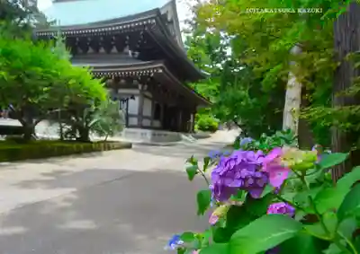 円覚寺(神奈川県)