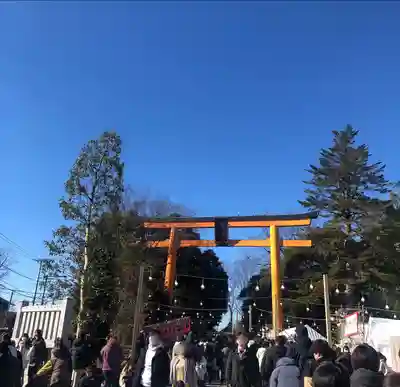 川越氷川神社(埼玉県)