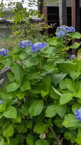 法然寺(奈良県)