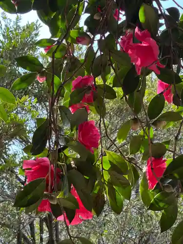 楠木神社(茨城県)