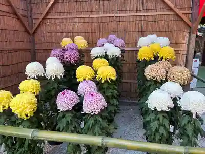 笠間稲荷神社(茨城県)