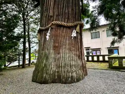 飛驒一宮水無神社(岐阜県)