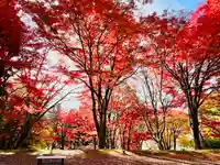 土津神社|こどもと出世の神さまの自然