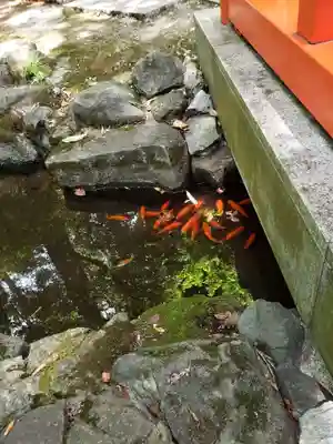 熊野神社(東京都)