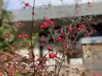 伊勢の国 四天王寺(三重県)