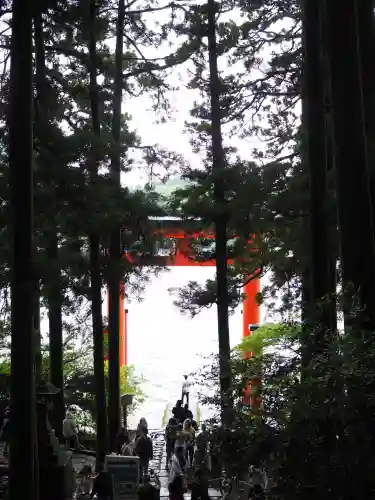 箱根神社(神奈川県)