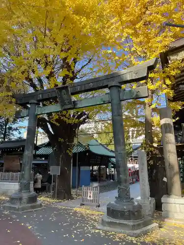 湯島天満宮の鳥居