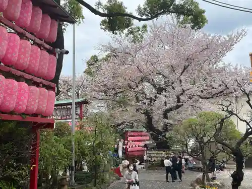 居木神社(東京都)
