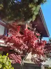 圓照寺(東京都)